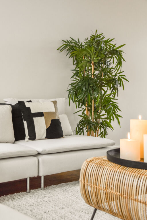 Living room domestic handy man services